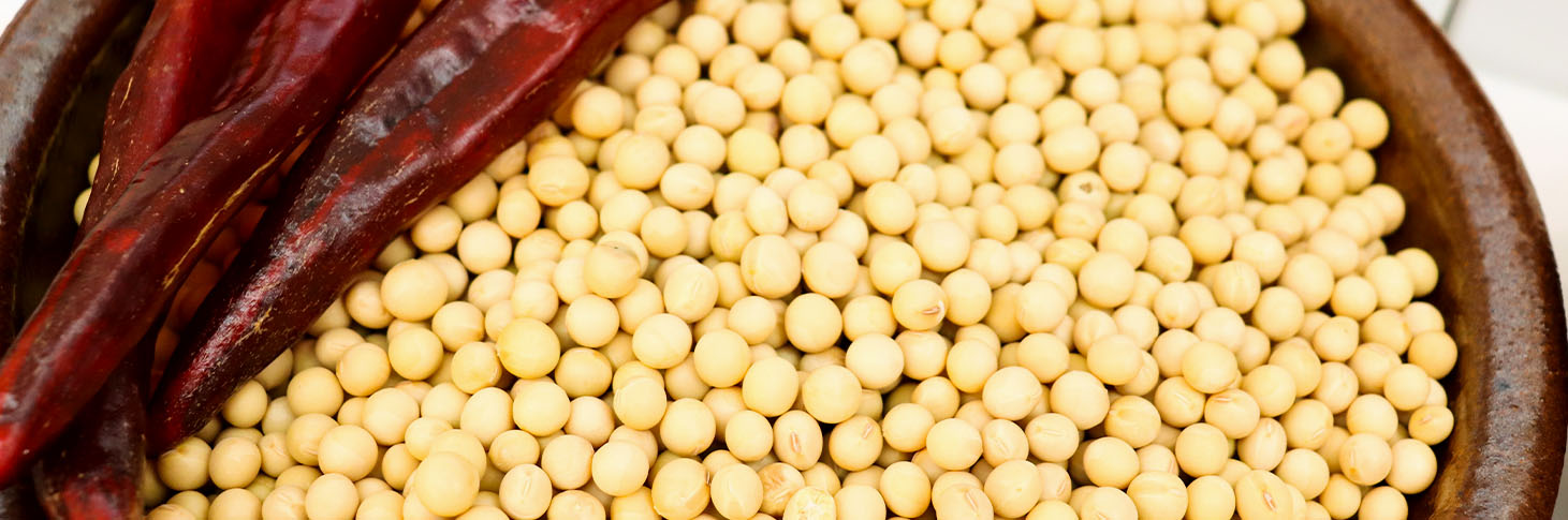 草莓视频在线观看入口